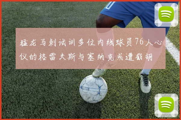 猛龙马刺试训多位内线球员76人心仪的格雷夫斯与塞纳克或遭截胡